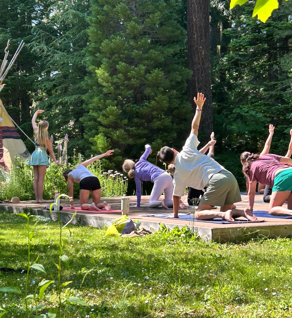Group yoga on the forest deck