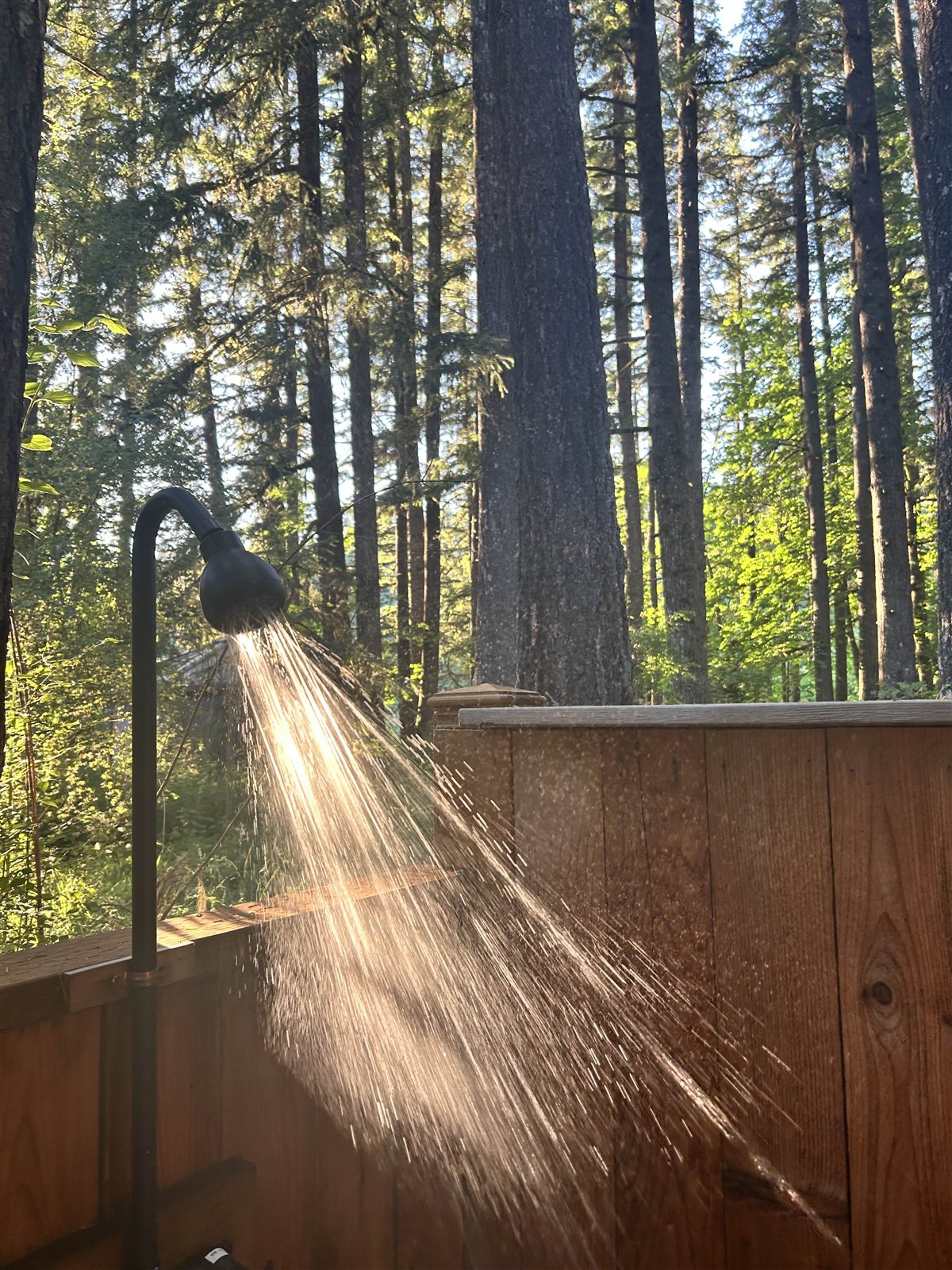 Outdoor shower running in golden evening light among the firs