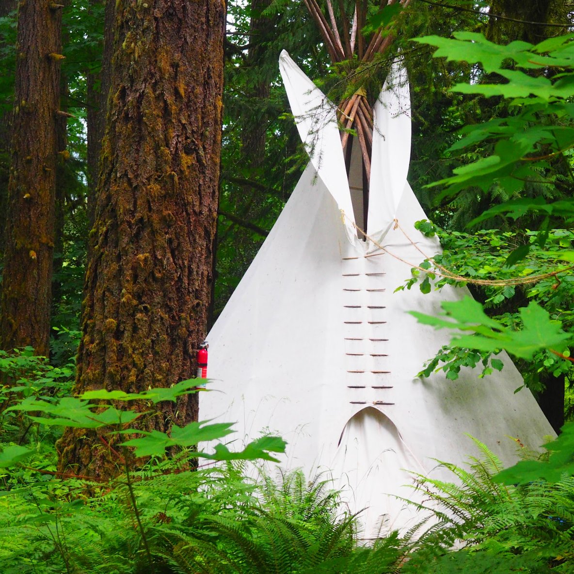 White tipi with ladder detail in the woods